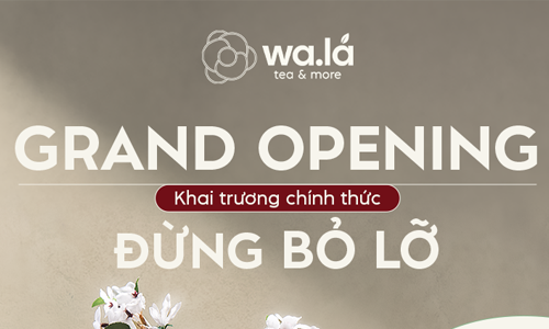  GRAND OPENING – KHAI TRƯƠNG CHÍNH THỨC